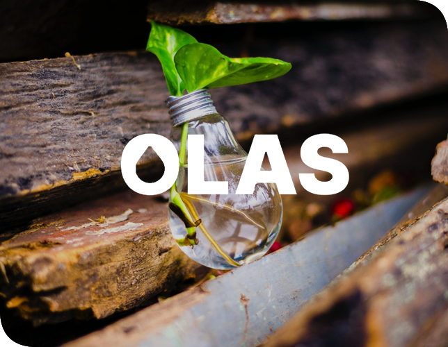 OLAS Imagen