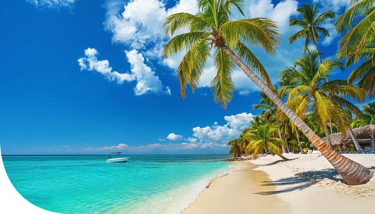 Sede Punta Cana